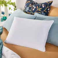 在飛比找Yahoo奇摩購物中心優惠-Sleep Innovations 雙面枕頭冷卻凝膠記憶泡棉