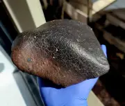 Meteorite**NWA Unclassified**2413.0 Gram, Beautiful Flight shaped Individual!!