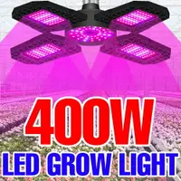 在飛比找樂天市場購物網優惠-植物燈 LED 生長燈 110V 生長燈泡 E27 全光譜紫