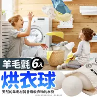 在飛比找momo購物網優惠-【生活King】羊毛氈烘衣球-附收納袋(6入)