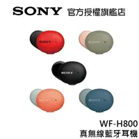 在飛比找蝦皮商城優惠-SONY WF-H800 真無線藍牙耳機