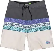 [Quiksilver] Boys Board Shorts