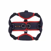 Reddy Navy Canvas Step-In Dog Harness, X-Large/XX-Large By: Reddy