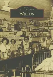 Wilton by Tamara N. Hoke (English) Paperback Book