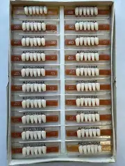 Acrylic Resin False Teeth Accu-tone Anterior lower A1 for dentures box -120pcs