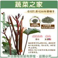 在飛比找樂天市場購物網優惠-【蔬菜之家】G101.赤焰紅秋葵種子3克(約50顆)、70克