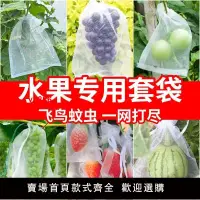 在飛比找樂天市場購物網優惠-【台灣公司 超低價】水果套袋防鳥防蟲網袋專用葡萄無花果枇杷芒
