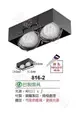 【燈飾林】AR111 LED 方形 崁燈 二燈 雙燈 盒燈 無邊框 台製 空燈具 816-2 另有四燈