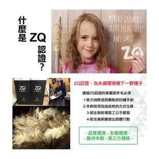 【SmartWool 美國】女款 NTS 250長袖上衣 三色 美麗諾羊毛衣/保暖內著衣/羊毛內層衣 SW016370