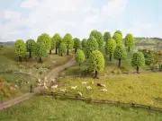 N Model Scenery - 32901 - Deciduous Trees