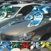 Giant Shiny Car Bow with FREE SHIPPING