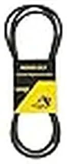 Deck Drive Belt Compatible with 5103390, 5103390YP, 5103670, 5103870, 61 Inch Deck Ferris IS3100Z and IS4500Z Series, Snapper Pro S200X Zero-Turn