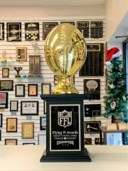 FANTASY FOOTBALL PERPETUAL TROPHY 32 YEARS GOLD CHROME FINISH FOOTBALL J^SBR252*