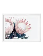 [Profile Australia] Australian Made Protea Flowers Art Print A1 Frame in White