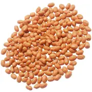 Lifelike PVC Shopwindow Decorative Simulation Peanut Kernels
