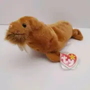 TY Beanie Baby PAUL the Walrus Plush (7 inch) MWMT's Stuffed Animal Toy