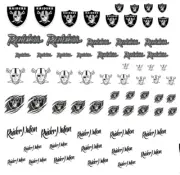 1/64 NFL Raiders Waterslide Decals MADE IS THE USA