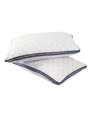 [Royal Comfort] Chiro Comfort Air Mesh Pillows Twin Pack