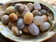 1X Opalized Petrified Wood Tumbled Stone 25-30mm Healing Crystal Earth Energy