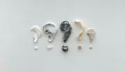 Natural 5 ? Question Mark Shaped Beach Shell Frag Pebble Letter craft art ?????