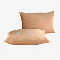 在飛比找樂天市場購物網優惠-春秋珊瑚絨枕套雙面魔法絨枕芯套加厚保暖單人法萊絨枕頭套一對裝