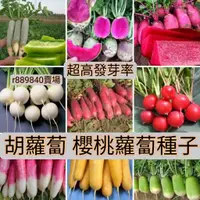 在飛比找蝦皮購物優惠-東東園藝種子【超高發芽率】胡蘿蔔種子櫻桃蘿蔔種子 胡蘿蔔 蔬