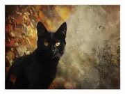 Le Chat Noir Canvas Print