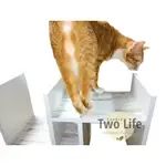 【TWO LIFE】工廠代理 H型置物架 貓爬架 書架 H書架 附螺絲起子 需組裝 TWOLIFE雜貨舖