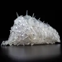 在飛比找蝦皮購物優惠-現貨 日版 自在置物 千値練 風之谷 王蟲 透明色 PVC 
