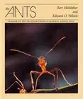 The Ants by Bert H?lldobler (English) Hardcover Book