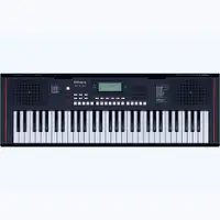 在飛比找蝦皮購物優惠-Roland E-X10 電子琴 EX10型 自動伴奏電子琴