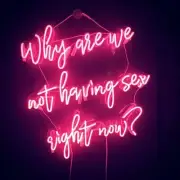 Why Are We Not Having Sex Right Now Acrylic Neon Sign Lamp Light With Dimmer