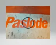 Paslode 091537 O RING (3000)