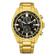Citizen Men's (an3652-55e) in Gold