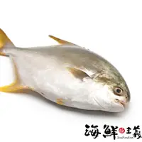 在飛比找蝦皮購物優惠-【海鮮主義】金鯧魚(約500G)