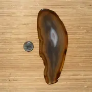 Agate Crystal Geode Slice Polished Natural Rock Brown Color Fine Banding 7" Long
