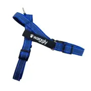 Waggly Dog Harness Blue (Medium)