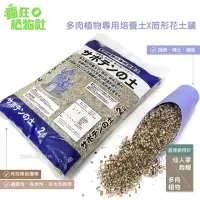 在飛比找momo購物網優惠-【瘋狂植物社】組合 日本多肉植物專用培養土2公升裝×筒形花土