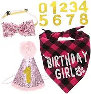 Generic 1 Set Cat Birthday Decoration Cat Collar Cat Dog Hat Cat Christmas Socks Pet Birthday Hat Post Cat Cone Cat Decorations Birthday Cat Birthday Bandana Cats Kitten Polyester