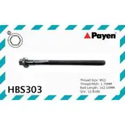 Payen Cylinder Head Bolt Set - HBS303