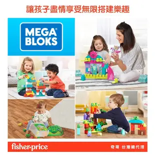 Fisher-Price 費雪 安撫睡眠音樂震動小海象【宜兒樂】