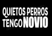 QUIETOS PERROS TENGO NOVIO DECAL STICKER CALCOMANIA DE VINILO BLANCO 10"