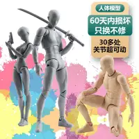 在飛比找Yahoo!奇摩拍賣優惠-shf素體畫畫人體模型玩具繪畫素描關節可動人偶美術素模動漫手