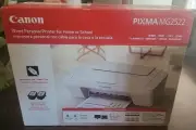NEW Canon MG2522 (3722) All In One Printer-Free USB-School-Quickly GO