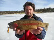 Ice Fishing Lure, Hollow Ice Jig (Fire Craw) Dynamic Lures HD ICE