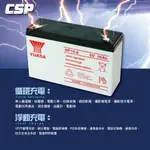 YUASA NP10-6 鉛酸電池 電動玩具車電池 兒童電動車電池 電子秤電電池 UPS電池  6V10AH
