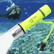 55000Lm LED Scuba Diving Flashlight Torch Underwater Light Lamp Waterproof AU