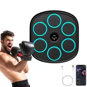 Catzon Music Boxing Machine Wall Mounted Bluetooth Connect for Home Gym