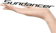 1Pc SEA RAY SUNDANCER Boat Decals Stickers Emblem Letters for SUNDANCER (Black)