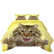 Cats Art Designs Claws Out Kitten Coverlet